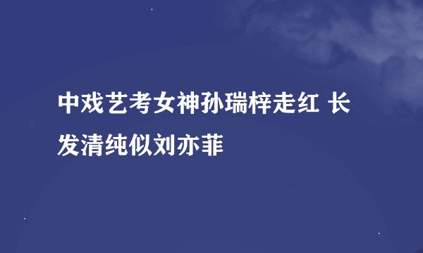中戏艺考女神孙瑞梓走红 长发清纯似刘亦菲