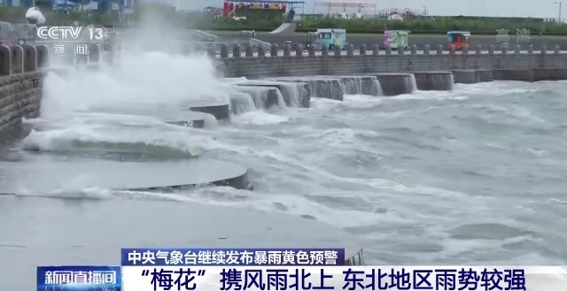 台风“梅花”登陆辽宁大连，为本世纪首个登陆东北台风，当地应该如何预防？