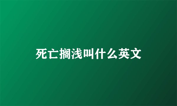 死亡搁浅叫什么英文