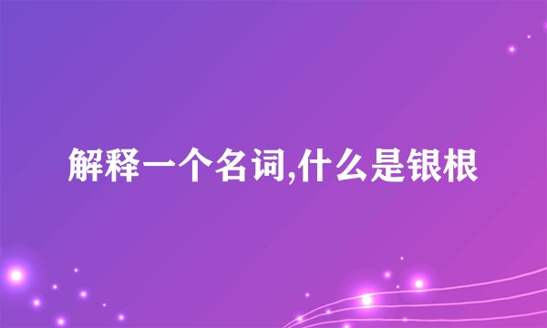 解释一个名词,什么是银根