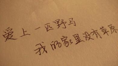 爱上一匹野马 可我的家里没有草原是什么意思？