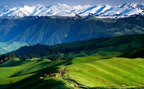 古人称五月为什么月?