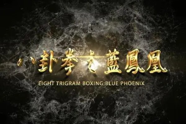 八卦拳之蓝凤凰演员表