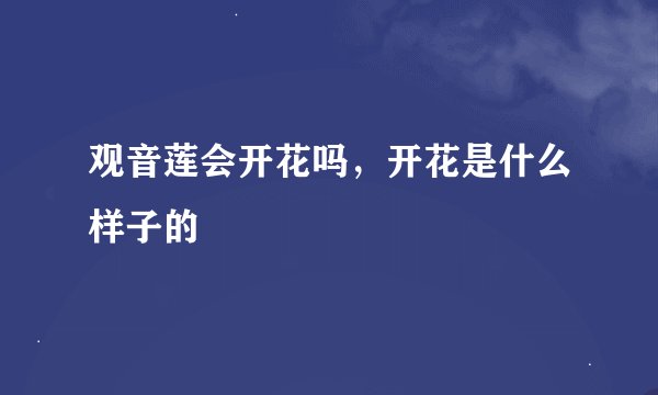 观音莲会开花吗，开花是什么样子的