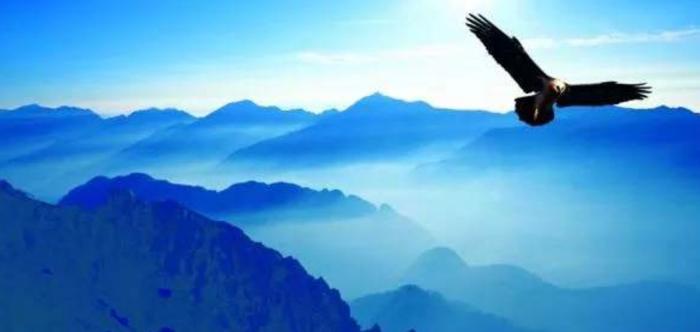 仁者为什么说无敌？