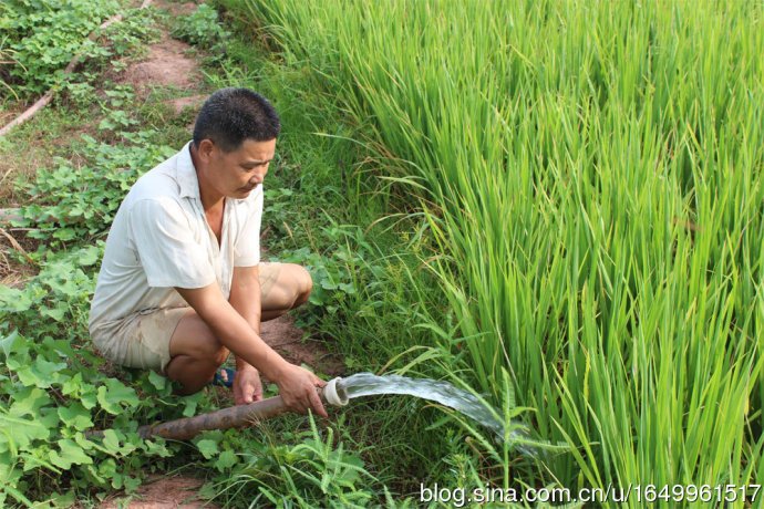 刘连元的人物生平