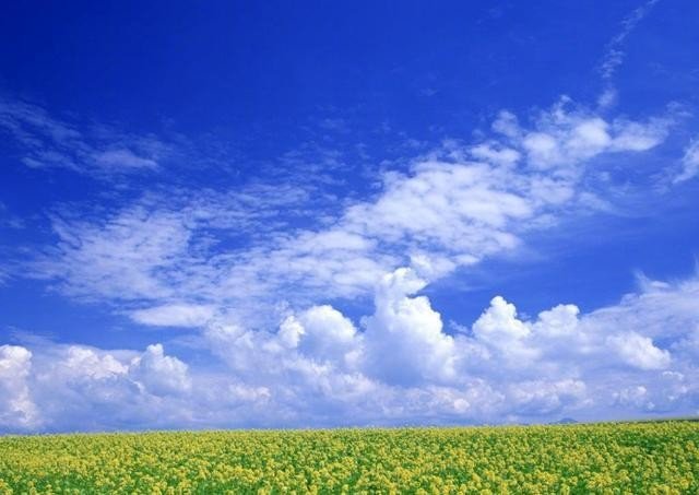 下午雨过天晴，彩虹会在哪个方向