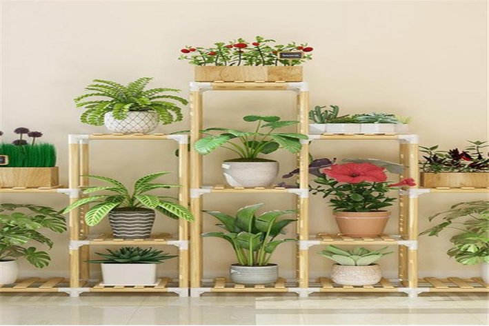 花架子怎么造句六年级