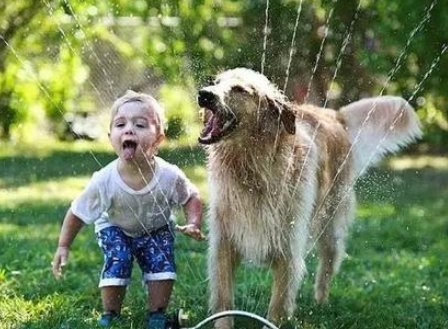 把家人比作动物的作文400字