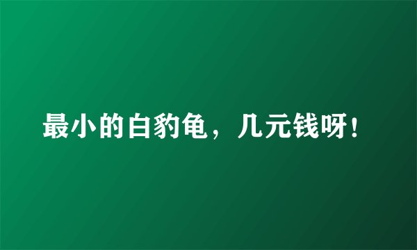 最小的白豹龟，几元钱呀！