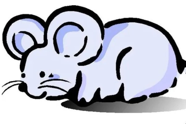 灭门之祸的动物打一生肖