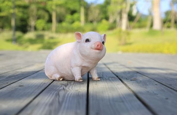 凤头猪肚代表哪几个生肖