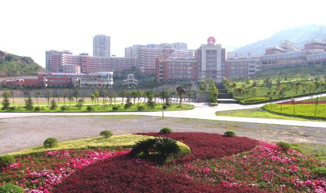 重庆市涪陵五中有哪些名师？