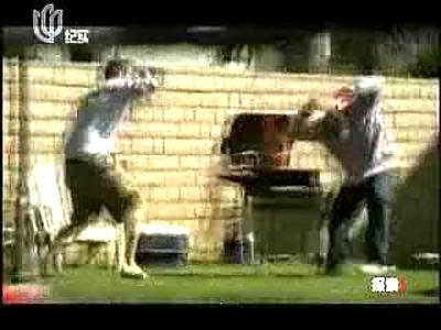 绝境求生手册的已播出