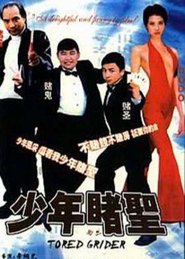 少年赌圣的介绍