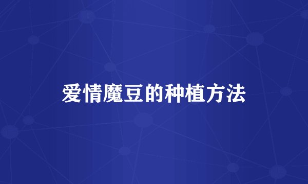 爱情魔豆的种植方法