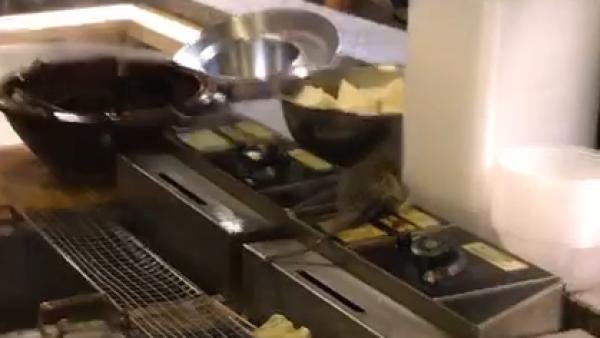 华中农业大学博士生外出吃饭时在餐厅惊现老鼠，餐厅老板的回应是怎样的？