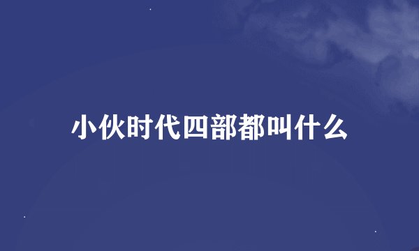小伙时代四部都叫什么