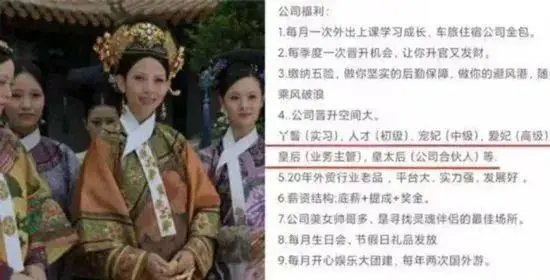 公司回应选妃式招聘，称只是为了吸引应聘者，公司为了蹭热度有多不择手段？