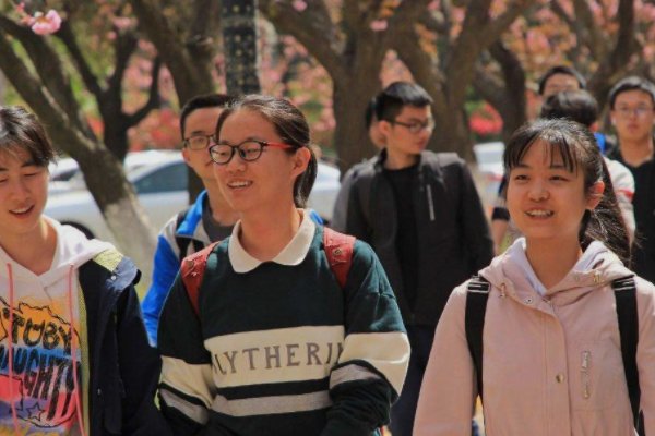 一群一群还有什么词