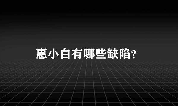 惠小白有哪些缺陷？
