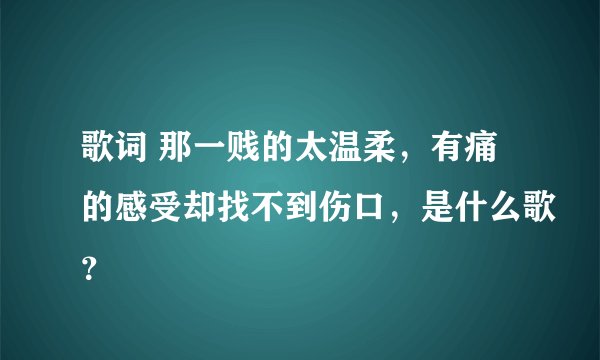 歌词 那一贱的太温柔，有痛的感受却找不到伤口，是什么歌？