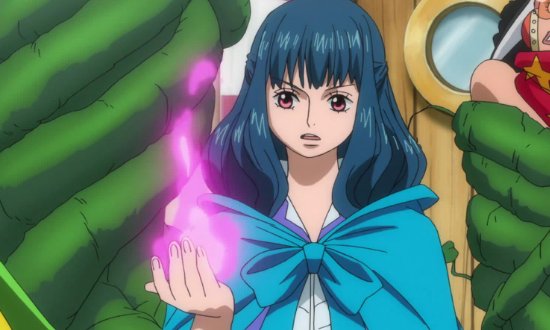 海贼王十大上古果实