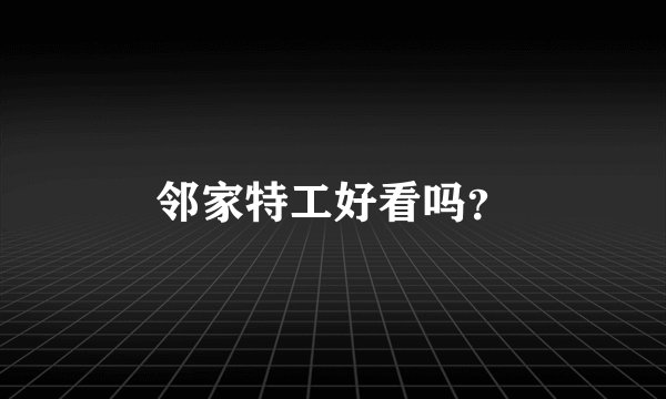 邻家特工好看吗？