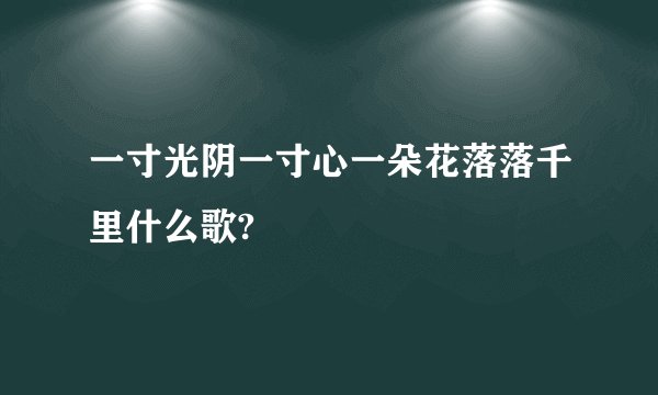 一寸光阴一寸心一朵花落落千里什么歌?