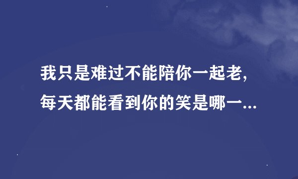 我只是难过不能陪你一起老,每天都能看到你的笑是哪一首歌曲的歌词