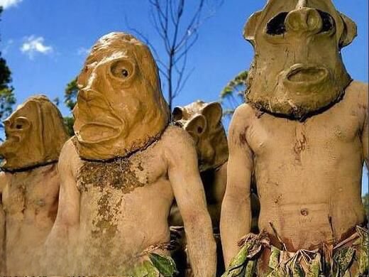 雷迪菜菜族头上是什么 一个只喝血不吃肉的原始部族