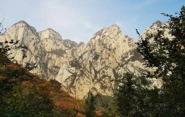 嵩山少林永智文武学校学费