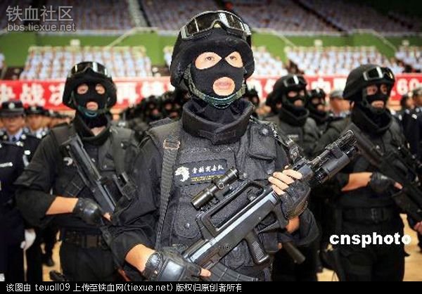 天鹰女子突击队的介绍