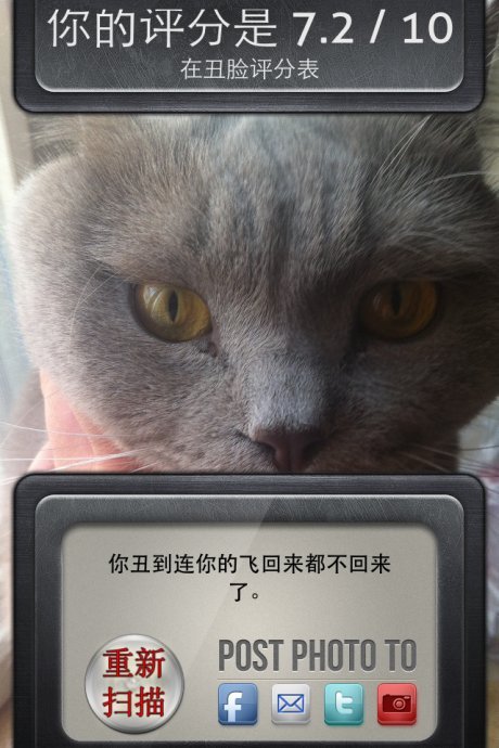 丑脸大测试的麻辣评语