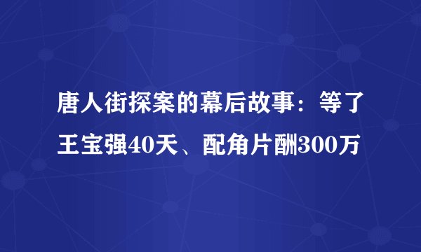 唐人街探案的幕后故事：等了王宝强40天、配角片酬300万