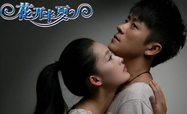 花开半夏这个电视剧的大结局是怎么样的？