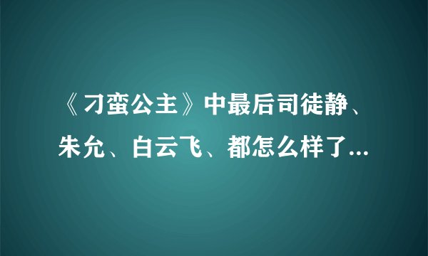 《刁蛮公主》中最后司徒静、朱允、白云飞、都怎么样了？和谁在一起了？