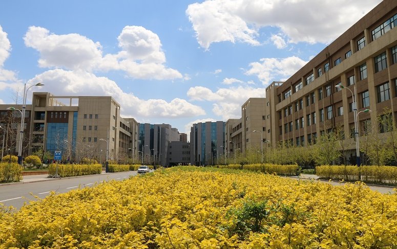 沈阳科技学院是几本学费多少