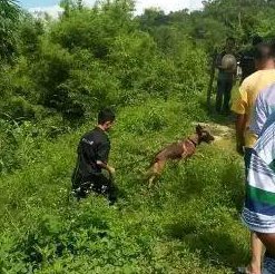 两男童被父亲扔井中，背后的原因是什么？