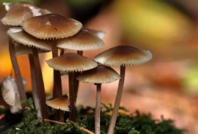 北京囤货太多市民直呼“后悔”,有的菜都蔫儿了,北京的物资供应有多充足?