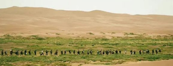 《万里归途》有真实事件原型，利比亚撤侨一共撤了多少人？是哪一年发生的？