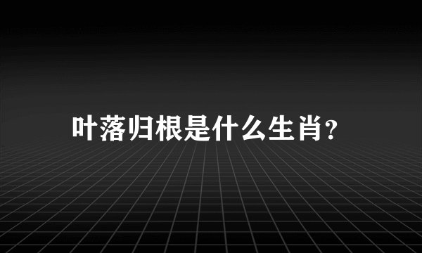 叶落归根是什么生肖？