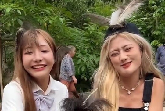 网红烹食大白鲨事件，两人被批捕，博主“提子”受到了怎样的处罚？