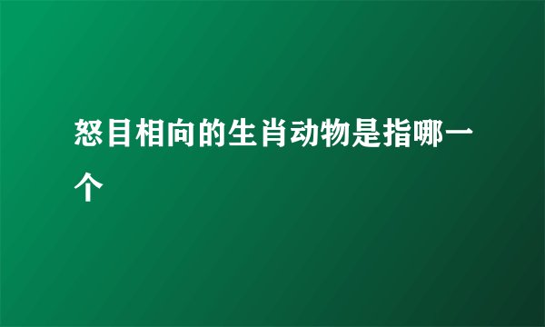 怒目相向的生肖动物是指哪一个