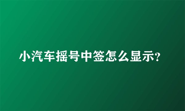 小汽车摇号中签怎么显示？