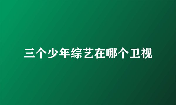 三个少年综艺在哪个卫视