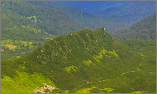 孩儿立志出乡关，学不成名誓不还。