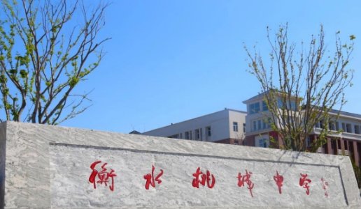 衡水桃城中学是公立还是私立?