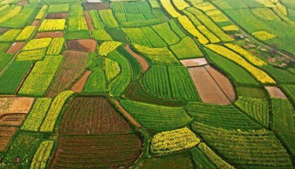 中国四大粮仓是什么?