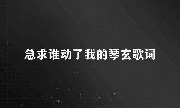 急求谁动了我的琴玄歌词